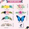 49 Pieces Patches and Butterfly Stickers Iron on, Iron on Decals Clothing Appliques for Clothes Jacket Shirts Dress Backpacks
